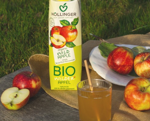 Hollinger Bio Wilder Apfel Saftpackung mit frischen Äpfeln und Apfelsaftglas auf Picknickdecke im Gras.